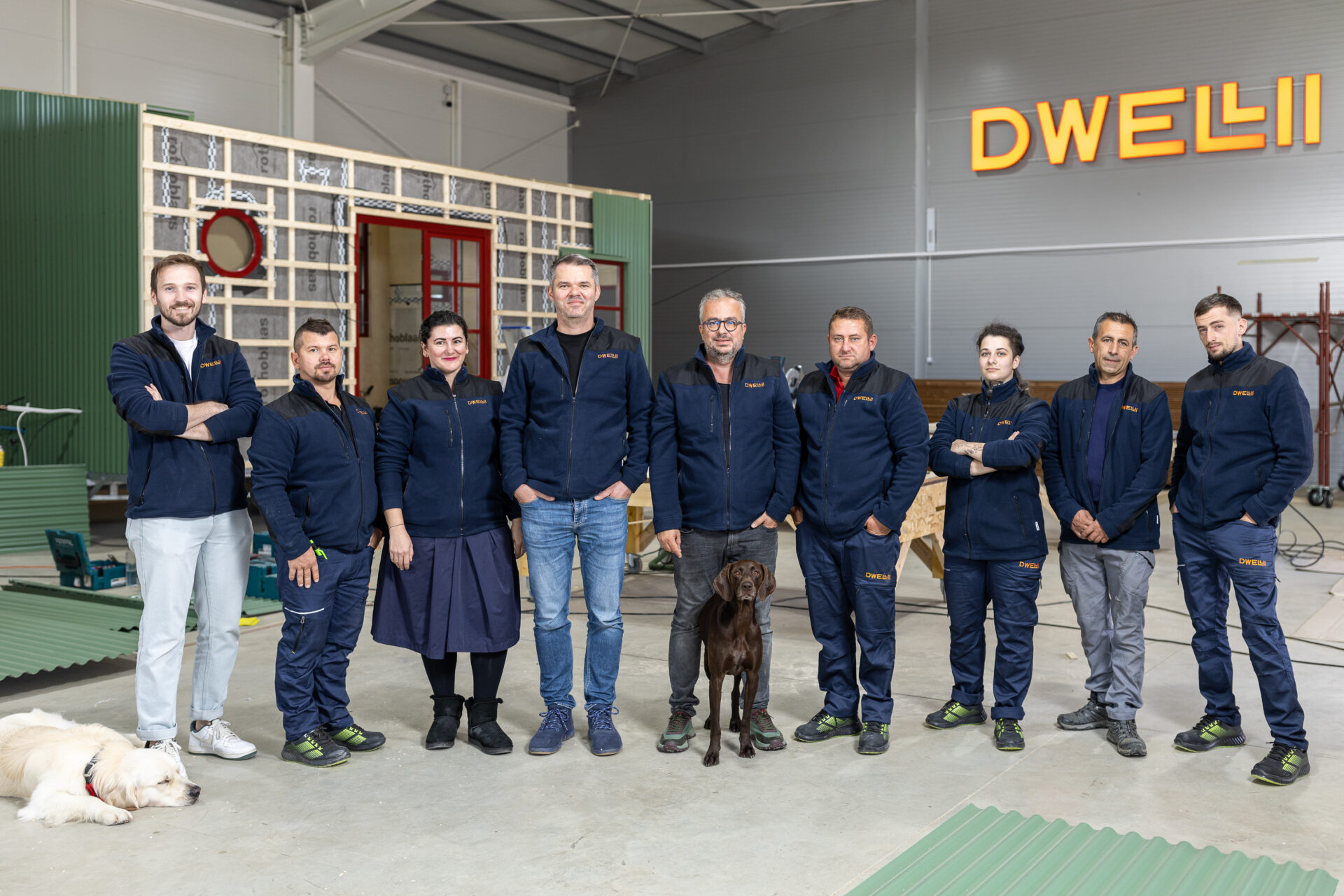 Dwellii Team